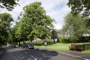 west view 2012 4 sm.jpg